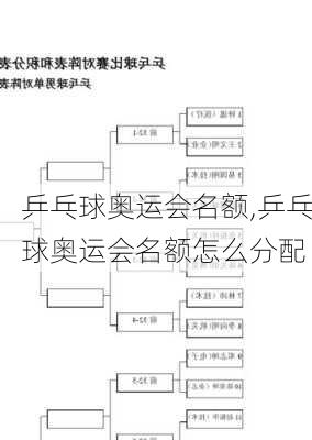 乒乓球奥运会名额,乒乓球奥运会名额怎么分配