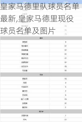 皇家马德里队球员名单最新,皇家马德里现役球员名单及图片