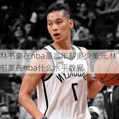 林书豪在nba最高年薪多少美元,林书豪在nba什么水平数据