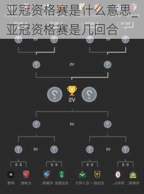 亚冠资格赛是什么意思_亚冠资格赛是几回合