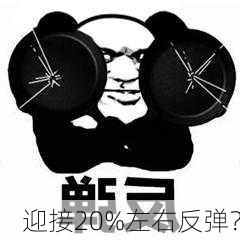 迎接20%左右反弹？