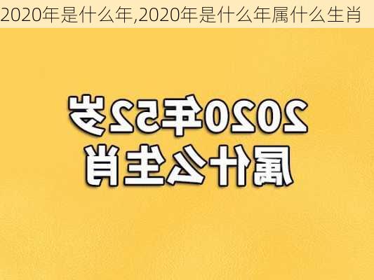 2020年是什么年,2020年是什么年属什么生肖