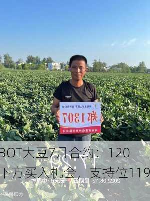 CBOT大豆7月合约：1200下方买入机会，支持位1194