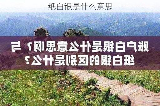 纸白银是什么意思