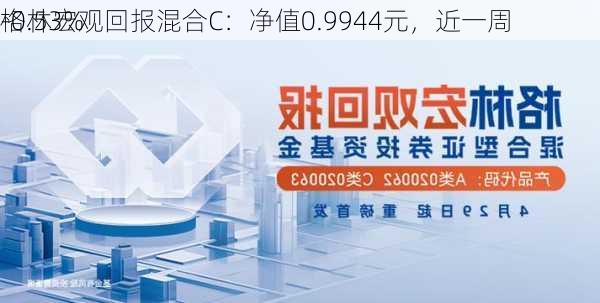 格林宏观回报混合C：净值0.9944元，近一周
-0.53%