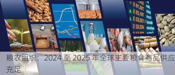 
粮农组织：2024 至 2025 年全球主要粮食商品供应充足