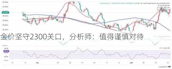 金价坚守2300关口，分析师：值得谨慎对待