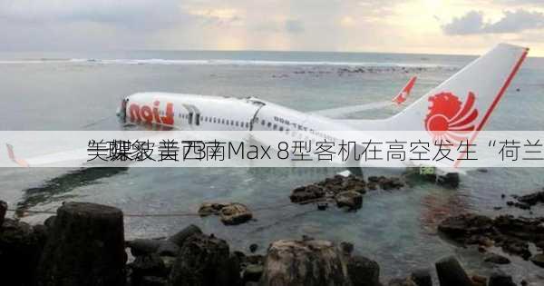 美媒：美西南
一架波音737 Max 8型客机在高空发生“荷兰
”现象