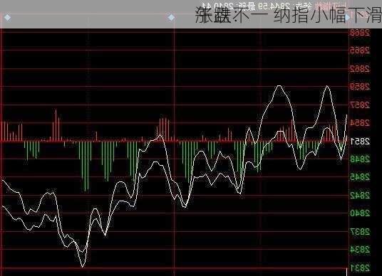 午盘：
涨跌不一 纳指小幅下滑