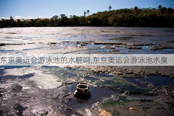 东京奥运会游泳池的水脏吗,东京奥运会游泳池水臭