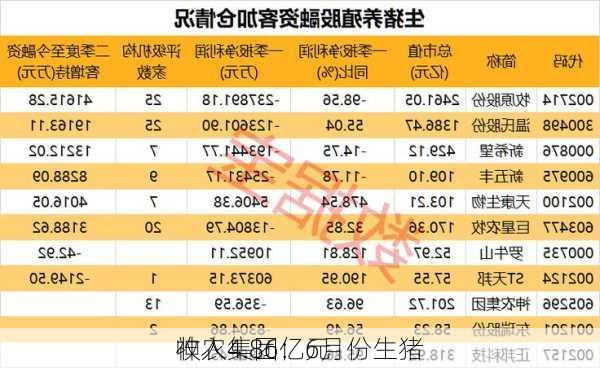 神农集团：6月份生猪
收入4.86亿元