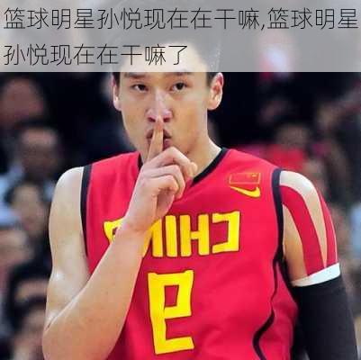 篮球明星孙悦现在在干嘛,篮球明星孙悦现在在干嘛了