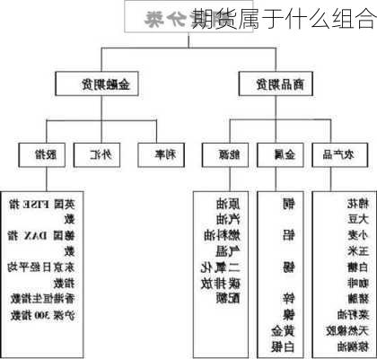 期货属于什么组合