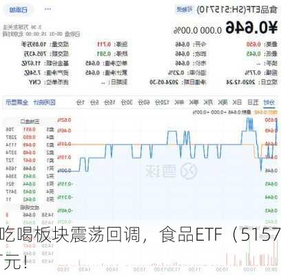 逢低抢筹！吃喝板块震荡回调，食品ETF（515710）单
吸金2381万元！