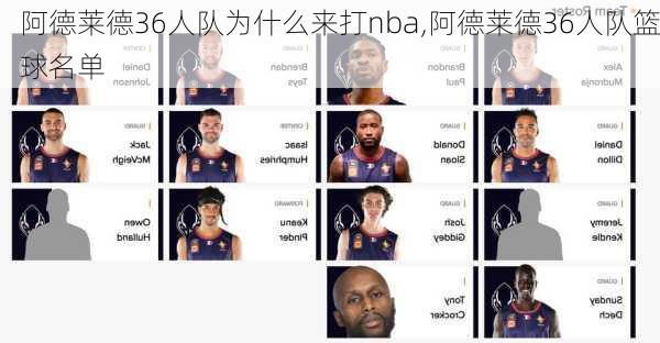 阿德莱德36人队为什么来打nba,阿德莱德36人队篮球名单