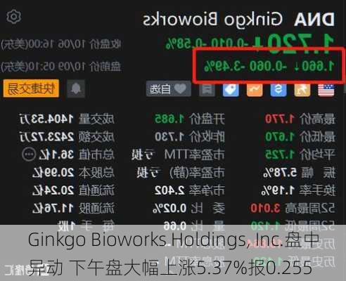 Ginkgo Bioworks Holdings, Inc.盘中异动 下午盘大幅上涨5.37%报0.255
