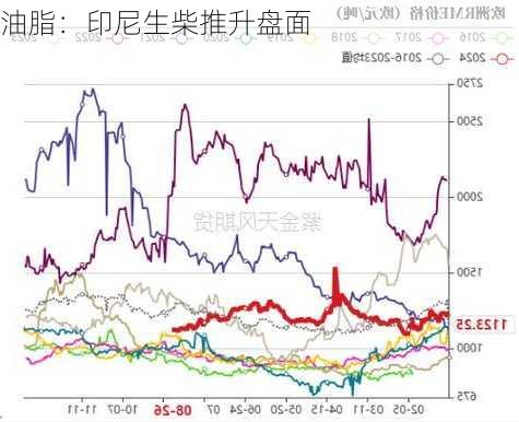 油脂：印尼生柴推升盘面
