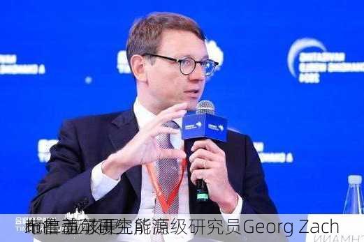 布鲁盖尔研究所高级研究员Georg Zach
nn：应该更
地推动可再生能源