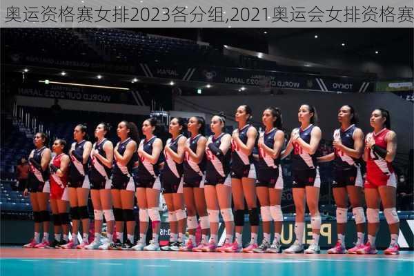 奥运资格赛女排2023各分组,2021奥运会女排资格赛