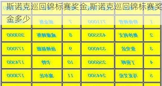 斯诺克巡回锦标赛奖金,斯诺克巡回锦标赛奖金多少