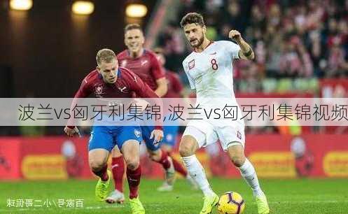 波兰vs匈牙利集锦,波兰vs匈牙利集锦视频