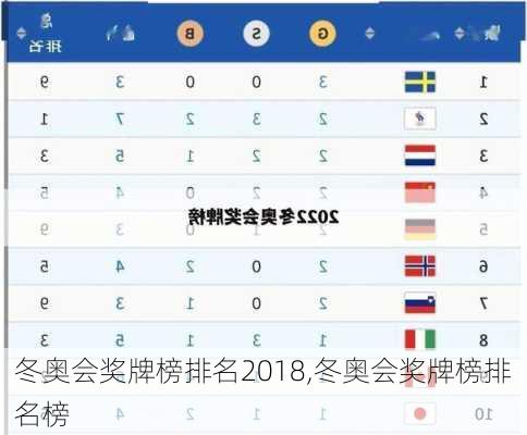 冬奥会奖牌榜排名2018,冬奥会奖牌榜排名榜