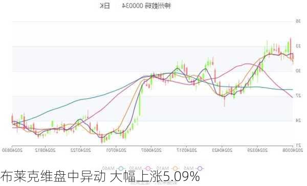 布莱克维盘中异动 大幅上涨5.09%