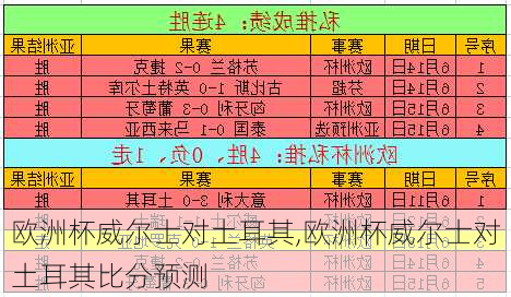 欧洲杯威尔士对土耳其,欧洲杯威尔士对土耳其比分预测