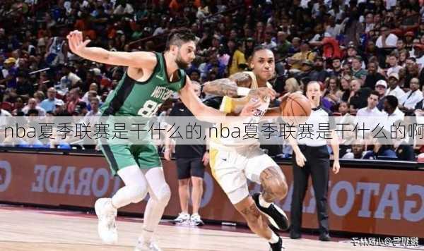 nba夏季联赛是干什么的,nba夏季联赛是干什么的啊