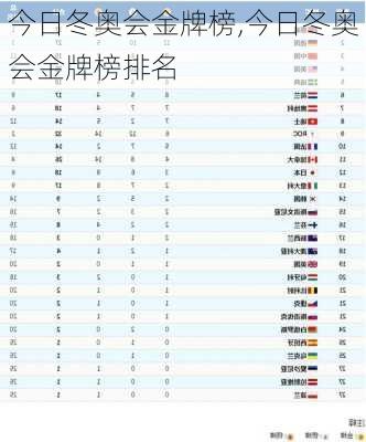 今日冬奥会金牌榜,今日冬奥会金牌榜排名