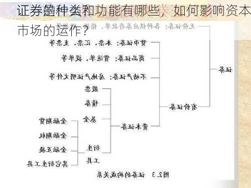 
证券是什么？
证券的种类和功能有哪些，如何影响资本市场的运作？