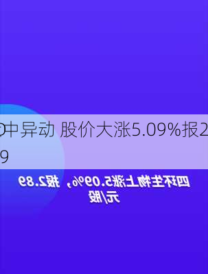 3D
盘中异动 股价大涨5.09%报2.89
