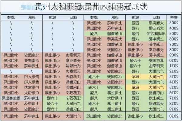 贵州人和亚冠,贵州人和亚冠成绩